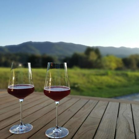 Traumhaftes Ferienhaus am Lateinberg - 8455 Eibiswald Südsteiermark Villa Bagian luar foto