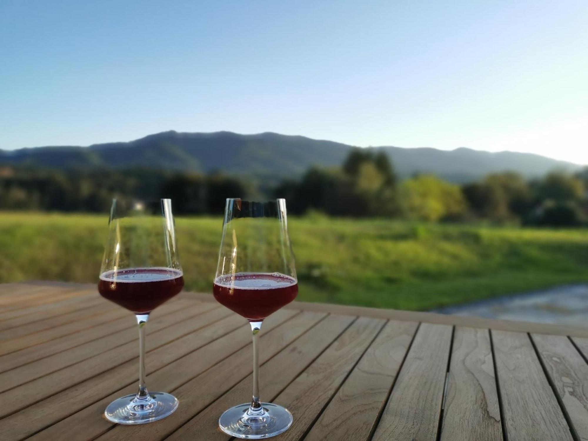 Traumhaftes Ferienhaus Am Lateinberg - 8455 Eibiswald Suedsteiermark Bagian luar foto