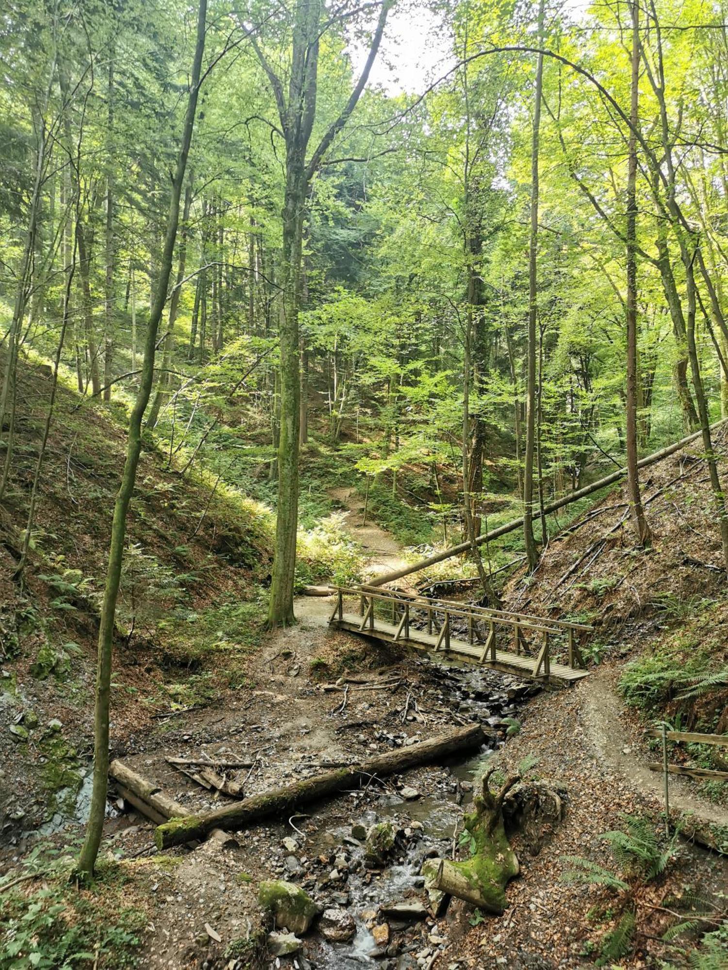 Traumhaftes Ferienhaus am Lateinberg - 8455 Eibiswald Südsteiermark Villa Bagian luar foto