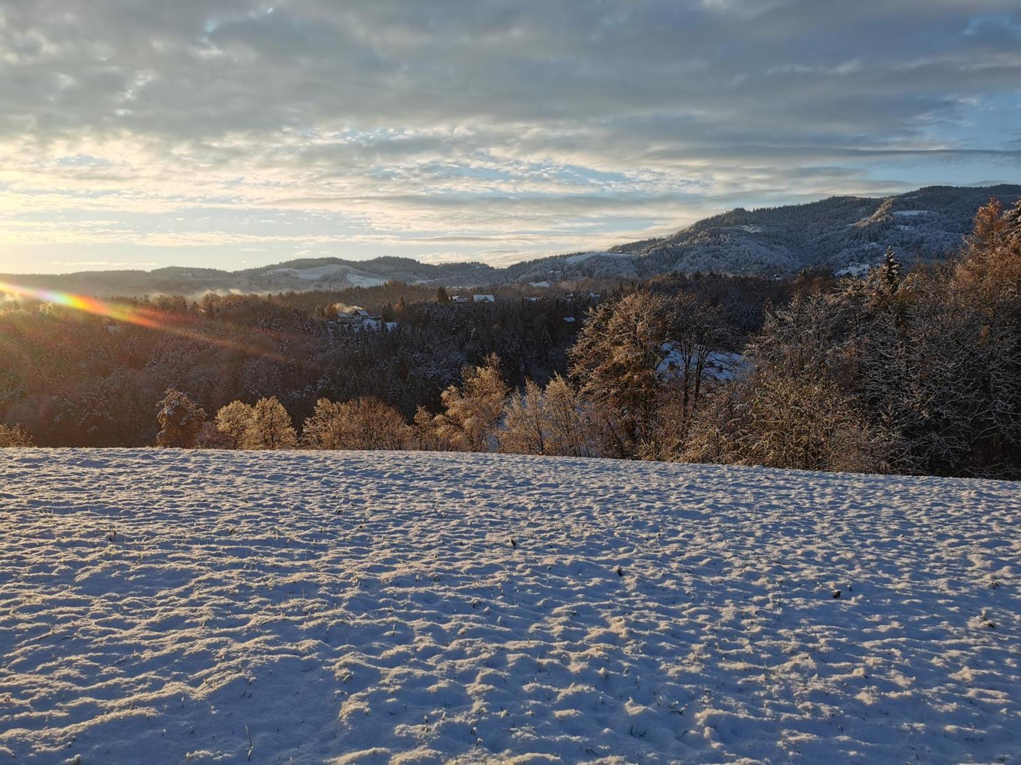 Traumhaftes Ferienhaus am Lateinberg - 8455 Eibiswald Südsteiermark Villa Bagian luar foto