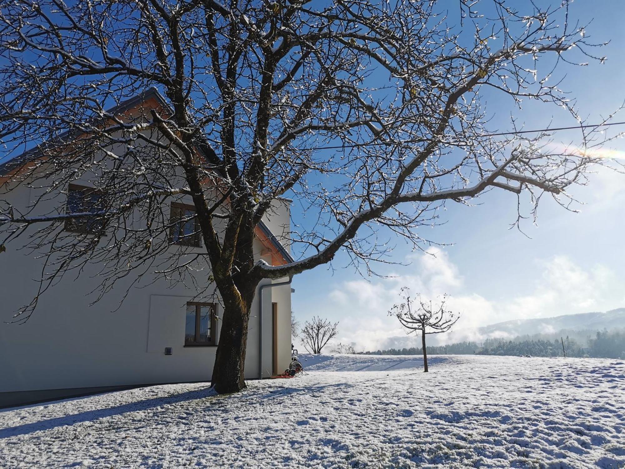 Traumhaftes Ferienhaus am Lateinberg - 8455 Eibiswald Südsteiermark Villa Bagian luar foto