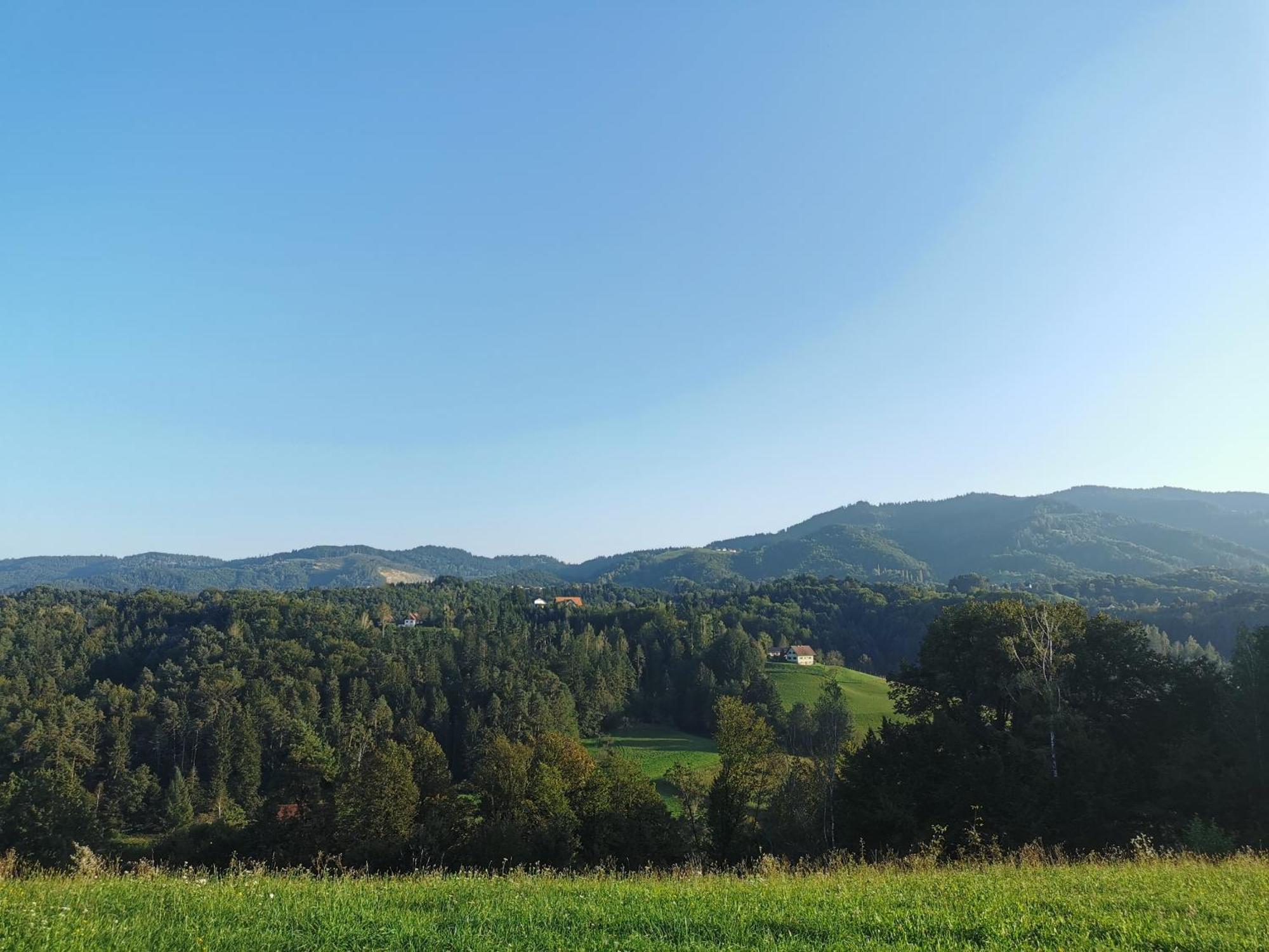 Traumhaftes Ferienhaus am Lateinberg - 8455 Eibiswald Südsteiermark Villa Bagian luar foto