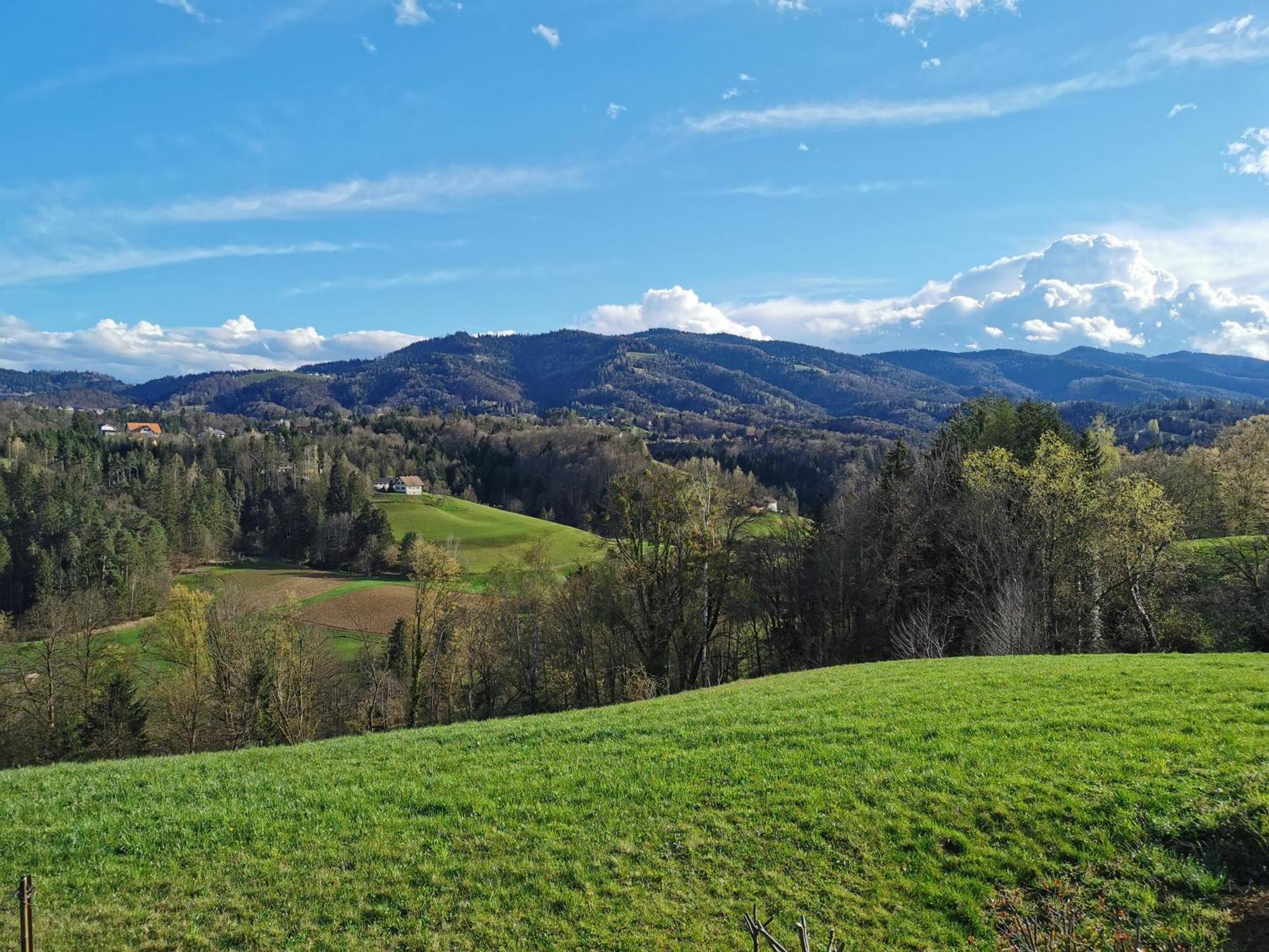 Traumhaftes Ferienhaus Am Lateinberg - 8455 Eibiswald Suedsteiermark Bagian luar foto
