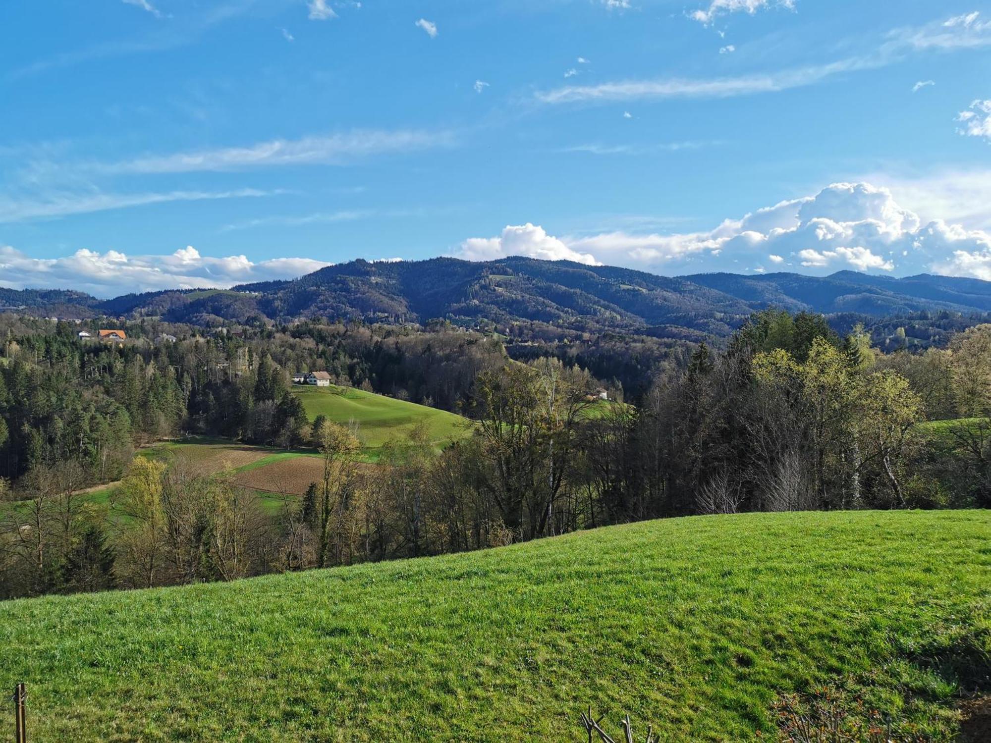 Traumhaftes Ferienhaus am Lateinberg - 8455 Eibiswald Südsteiermark Villa Bagian luar foto